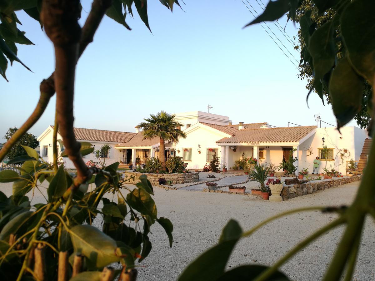 Hotel Casa Fina - Adults Recommended Коніль-де-ла-Фронтера Екстер'єр фото